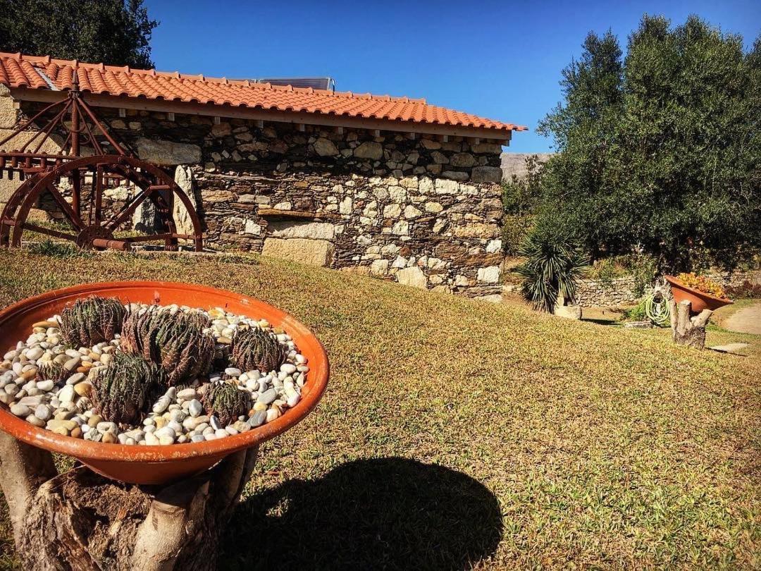 Quinta Do Fortunato Viana do Castelo Kültér fotó